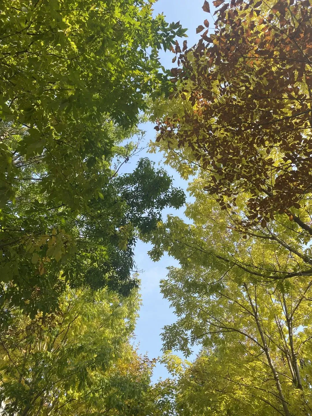 _1